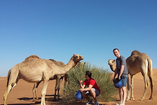 camel desert safari dubai