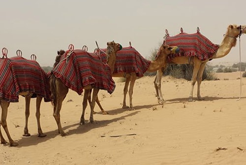 Quadbiking in Dubai